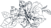 Line Flowers 7