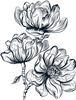 Line Flowers 8