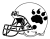 Lions Helmet