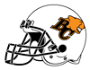 Lions 