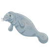 manatee 3