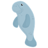 manatee 6