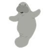 manatee 9