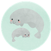 Manatees