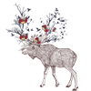 Moose 2
