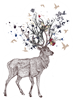 moose_Artboard 1.png