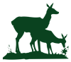 MP_2_Deers