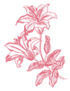 MP_58