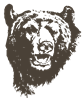 MP_Bearhead