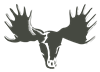 MP_Deerhead2