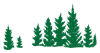 MP_Evergreens