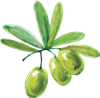 Olives
