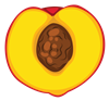 Peach Slice