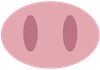 Pig Nose