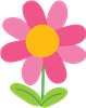 Pink Flower