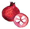 Pomegranate