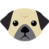Pug