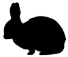 rabbit
