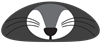 Racoon Face