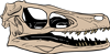 Raptor Skull