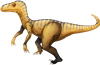 Raptor