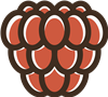 Raspberry