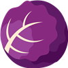 Red Cabbage