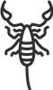 Scorpion Outline