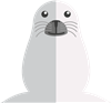 Sea Lion