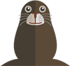 Sea Lion 
