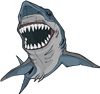 Shark 1