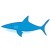 Shark 3