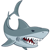 Shark Mouth Open