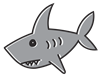 Shark