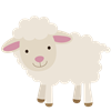 Sheep