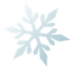 Snowflake