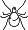 Spider Outline