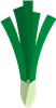 Spring Onions