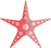 Starfish