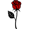 StemRose001.pdf