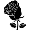 StemRose002.pdf