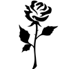 StemRose002.png