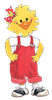 Suzy Ducken