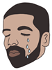 SY_CryingDrake_Artboard 1.png