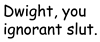 SY_DwightIgnorant_Artboard 2.png