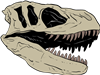 T-Rex Skull