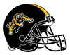 Ti-Cats Helmet