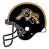 Ti-Cats Helmet