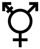 Trans Symbol