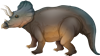 Triceratops